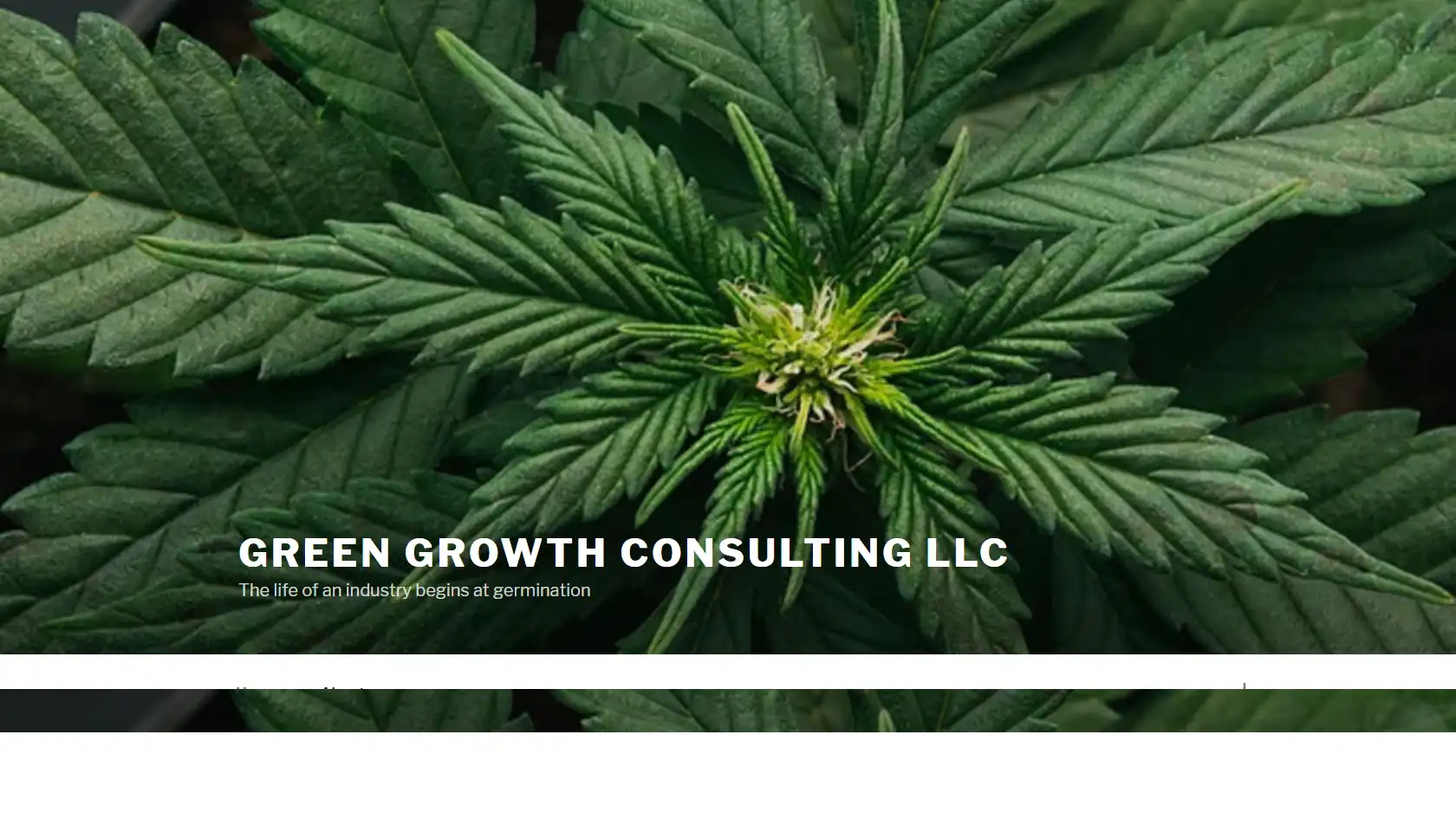 Green Growth Consulting